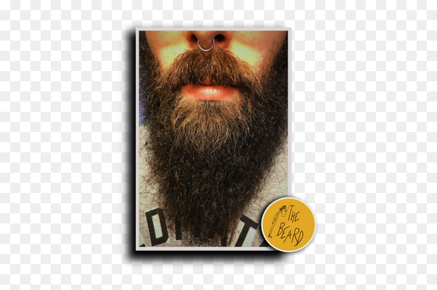 Barba E Piercing - Animal, HD Png Download - hipster mustache png