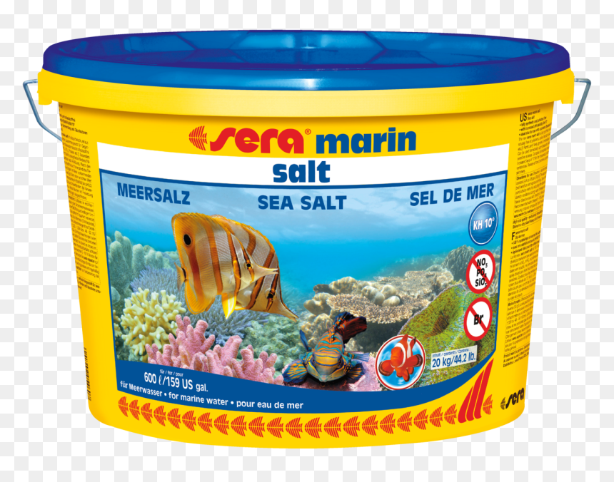 Aquarium, HD Png Download - aquarium png