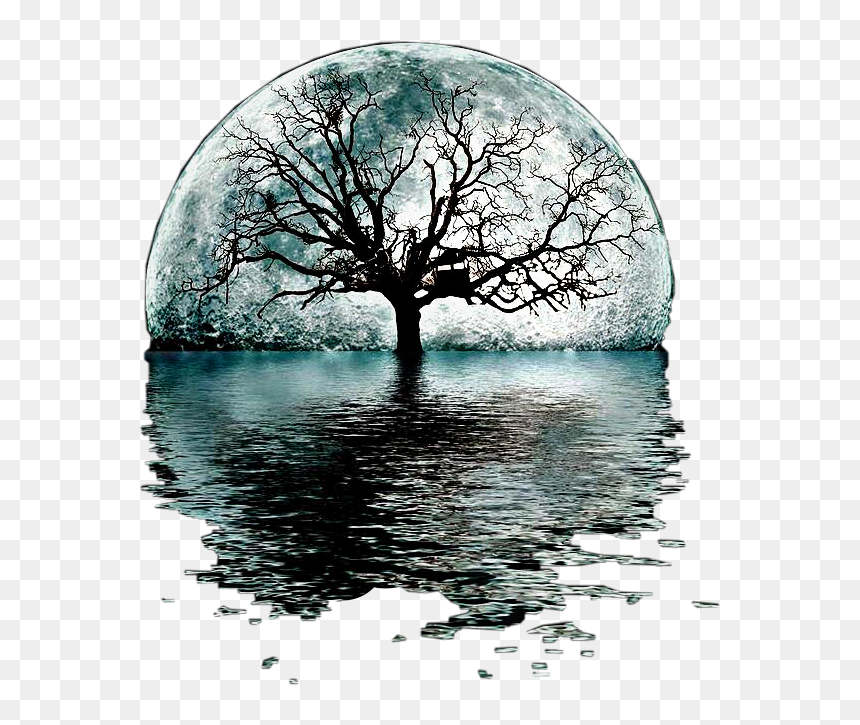 #moon #tree #silhouette #water #reflection #remixit - Moon And A Tree, HD Png Download - water reflection png