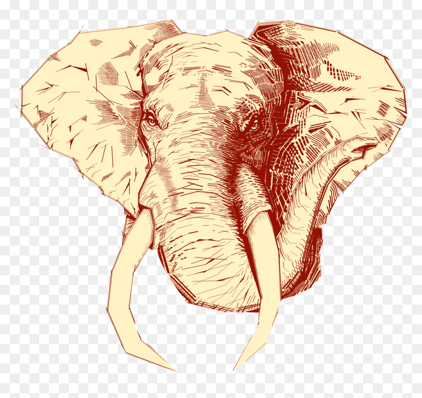 Logo Tecate Arcadia Elefante , Png Download - Logo Tecate Arcadia Elefante, Transparent Png - elefante png