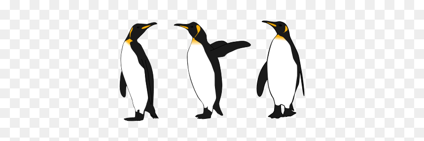 Three King Penguins - Penguins Clipart Black And White, HD Png Download - emperor penguin png