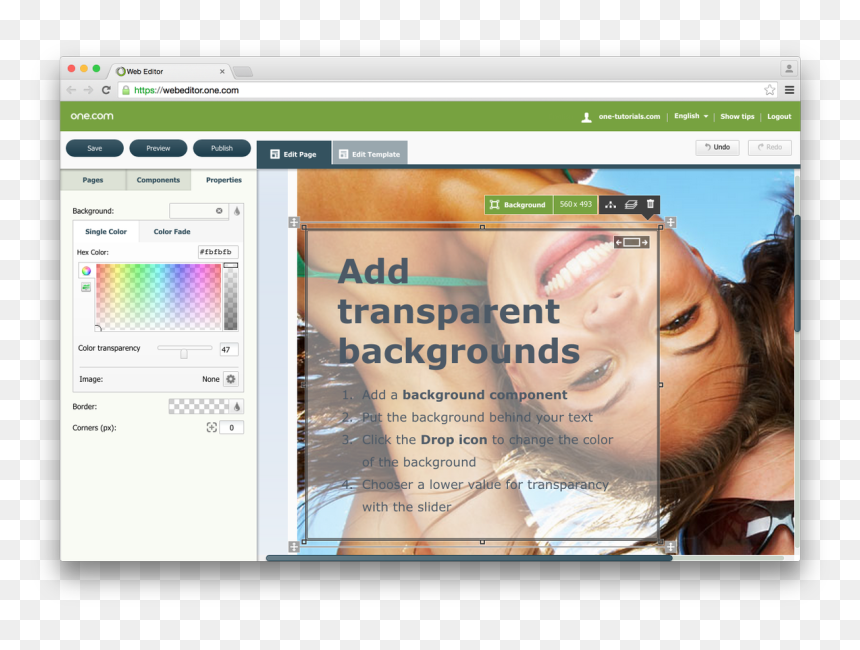 Graphics Software, HD Png Download - twitter icon png transparent background