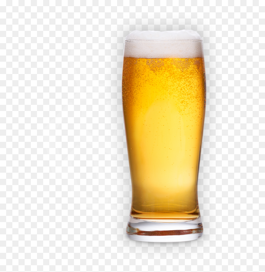 Beer And Hops - Pint Beer Png, Transparent Png - glass of beer png