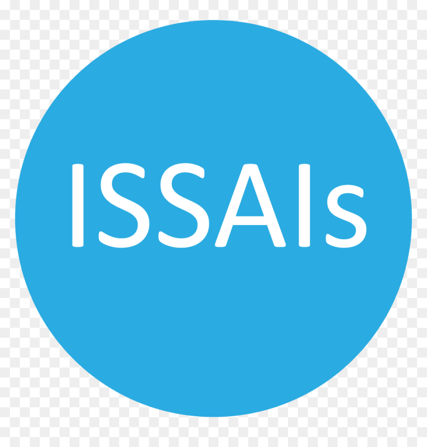 Performance Issais - Social Capital Caas, HD Png Download - performance png