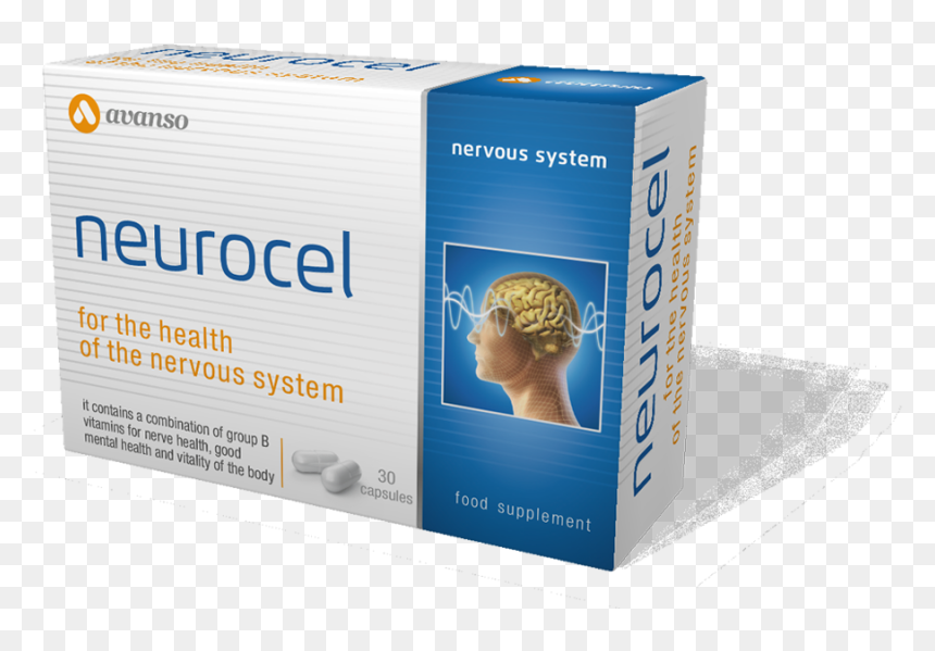 Neurocel-1 - Avanso Neurocel, HD Png Download - nervous system png