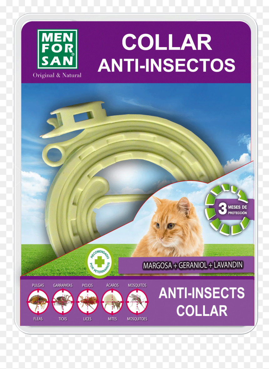 Insect Repellent Collar For Cats - Men For San, HD Png Download - gatos png