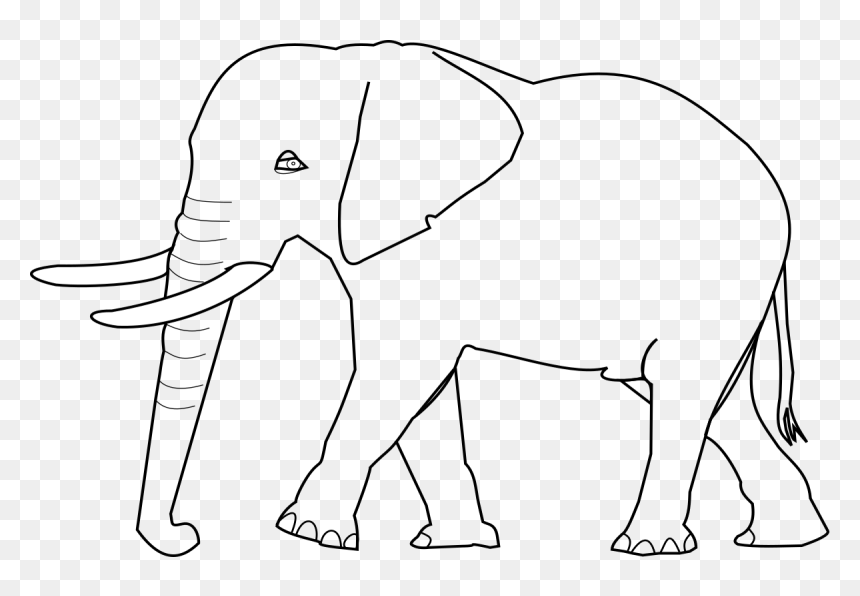 Indian Elephant, HD Png Download - elefante png