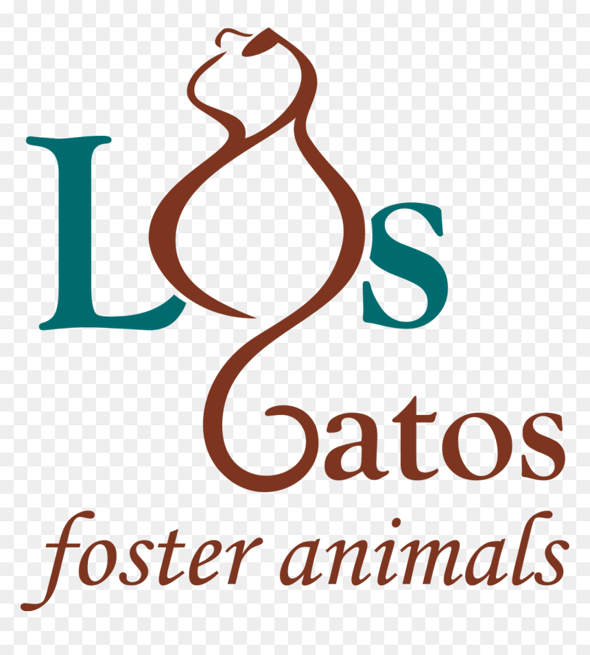 Calligraphy, HD Png Download - gatos png