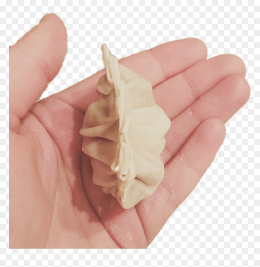 Wonton, HD Png Download - dumpling png