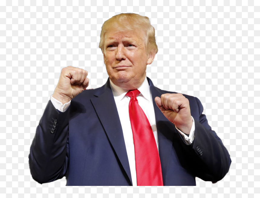 Donald Trump Transparent File - Donald Trump Transparent, HD Png Download - donald trump transparent png