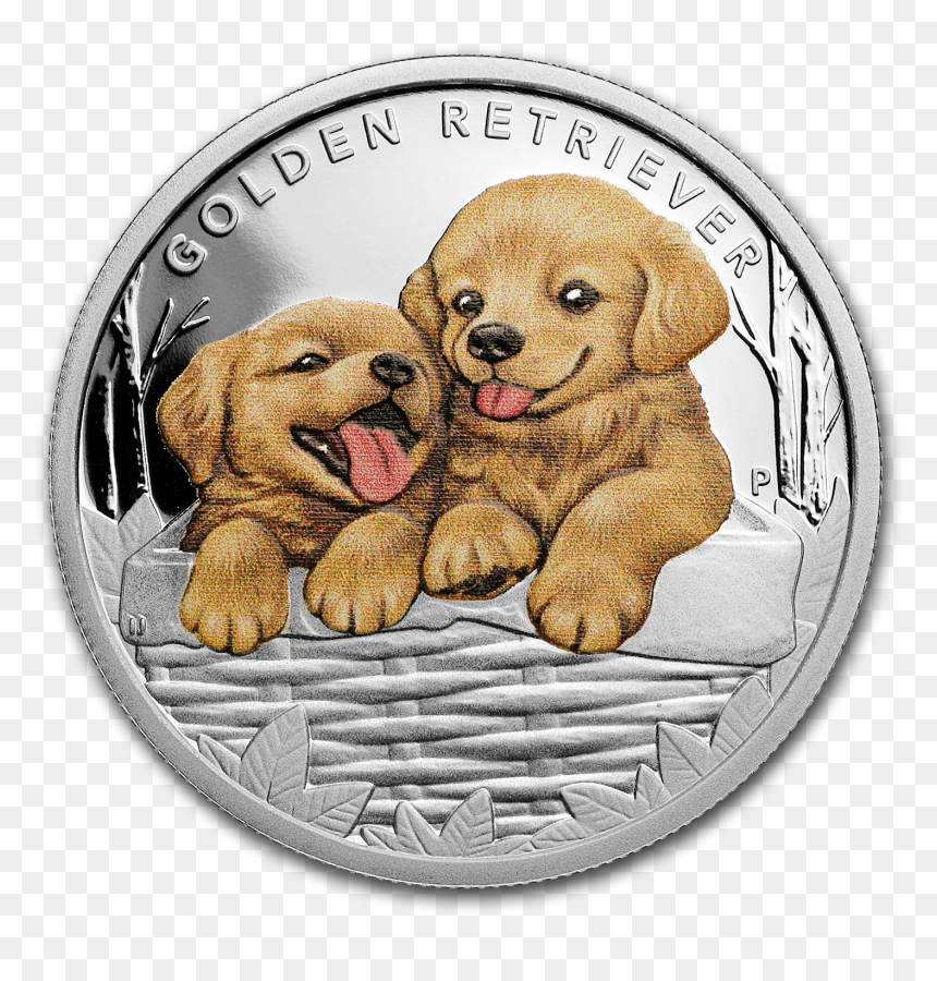 Transparent Golden Retriever Puppy Png - Golden Retriever, Png Download - golden retriever puppy png