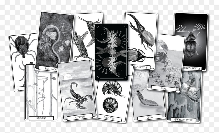 Web-banner - Monochrome, HD Png Download - special offer banner png