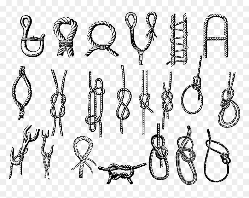 Important Knots, HD Png Download - rope line png