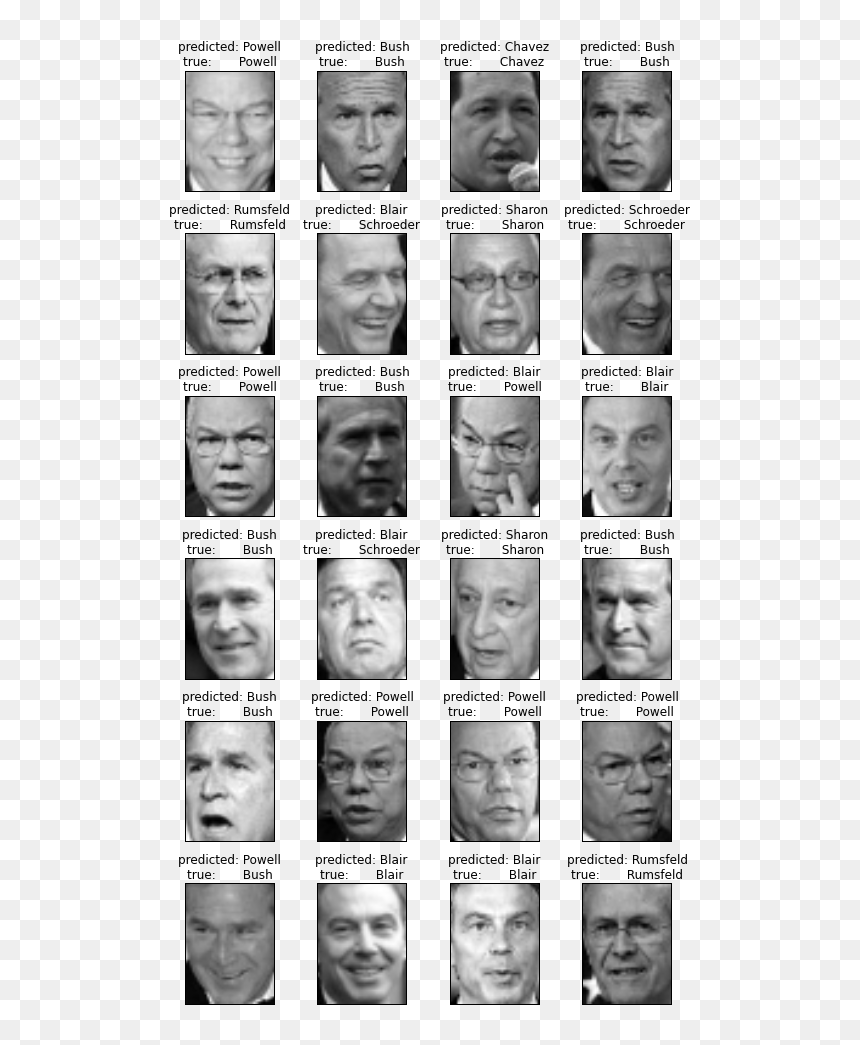 Download - Collage, HD Png Download - george bush face png