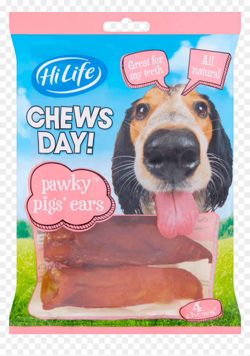Companion Dog, HD Png Download - dog bones png