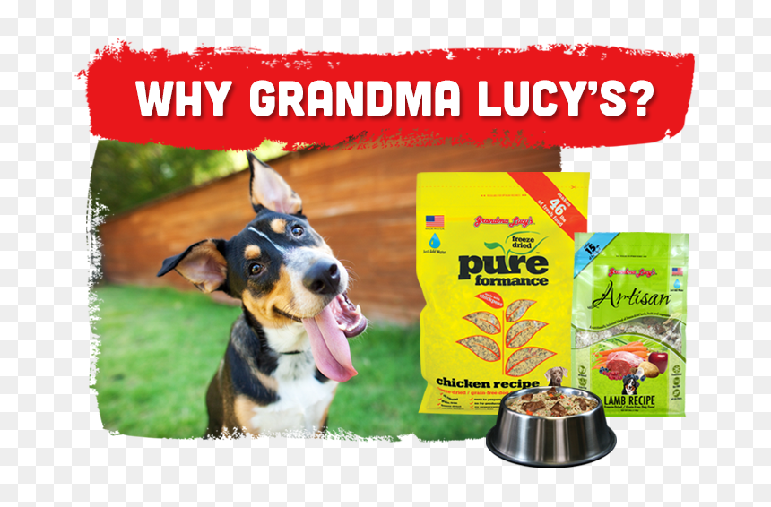 Grandma Lucy, HD Png Download - dog bones png