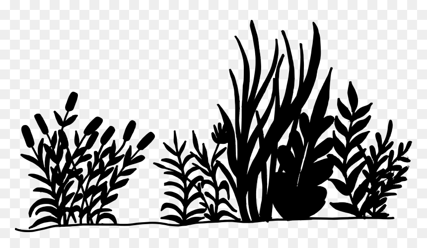 Flowers Silhouette Transparent Background, HD Png Download - flowers silhouette png