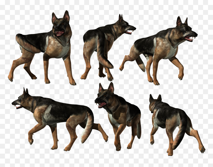 Old German Shepherd Dog, HD Png Download - german shepherd silhouette png