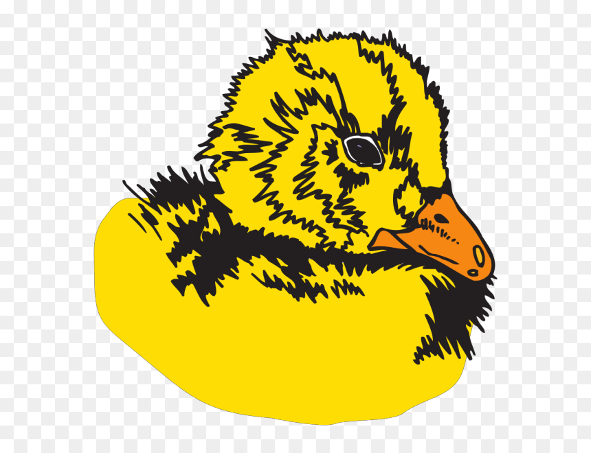 Duckling Png Icons - Duck, Transparent Png - duckling png