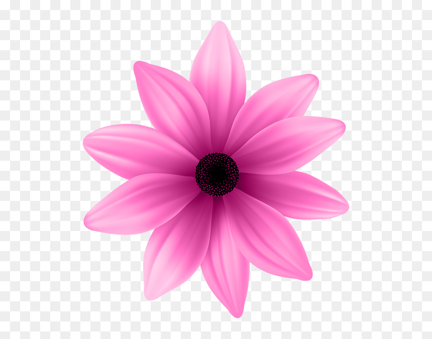 Pin By Yassmen Aref On Flowers 2 In 2019 - Portable Network Graphics, HD Png Download - pink daisy png