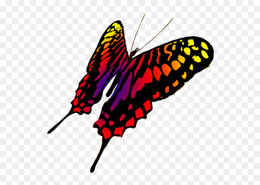 Drawing Of Swallowtail Butterfly - Butterfly Drawings Flying Transparent, HD Png Download - red butterfly png