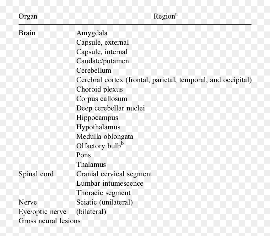 Screenshot, HD Png Download - nervous system png