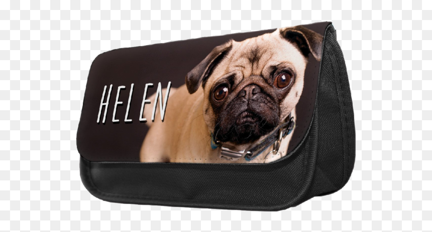 Personalised Golden Retriever Pup Pencil Make Up Case - Pug, HD Png Download - golden retriever puppy png