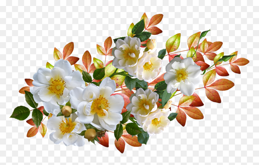 Frases Feliz Dia De San Valentin, HD Png Download - fall flowers png