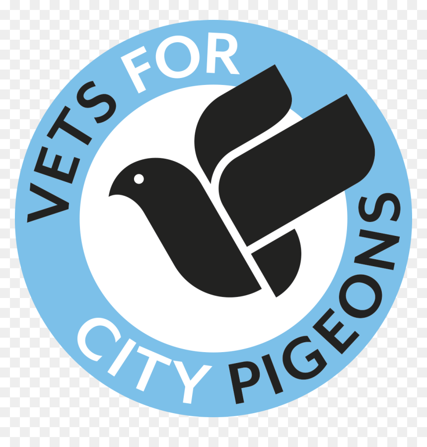 Illustration, HD Png Download - pigeons png