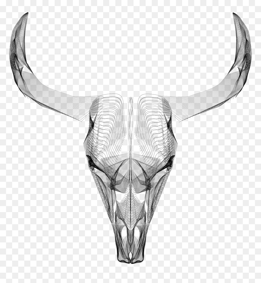 Behance , Png Download - Bull, Transparent Png - barbed wire frame png