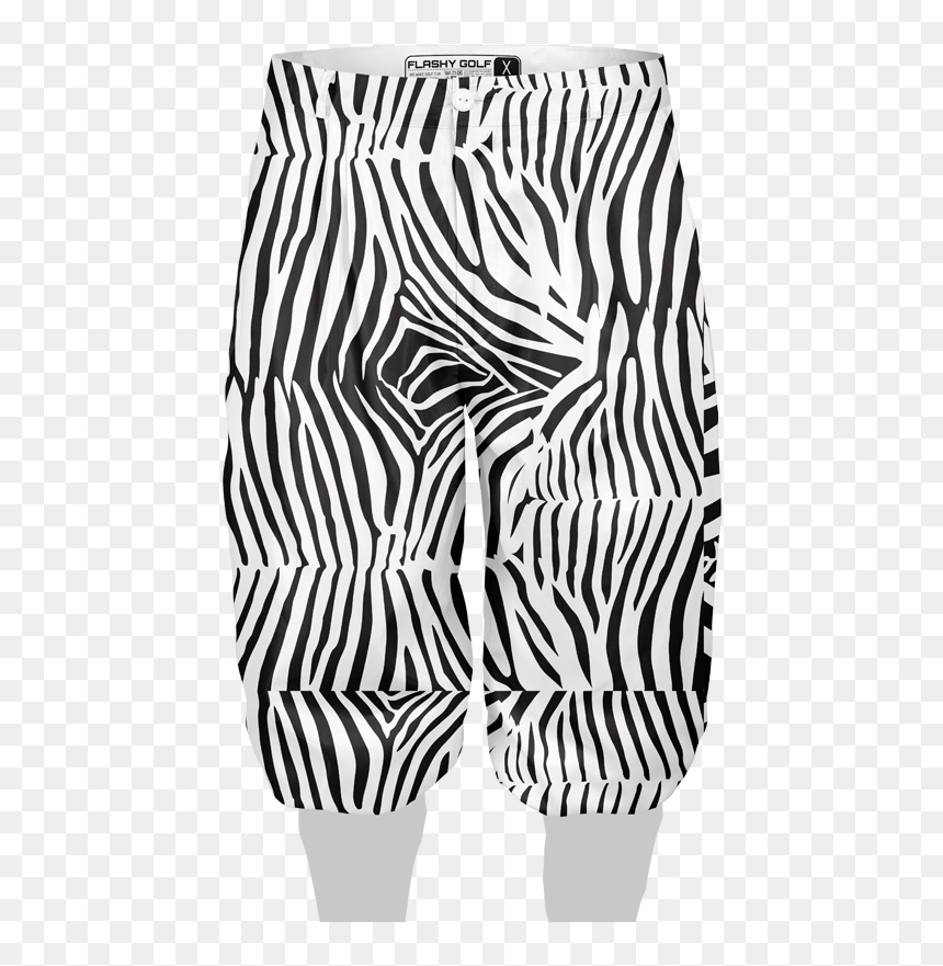 Illustration, HD Png Download - zebra print png
