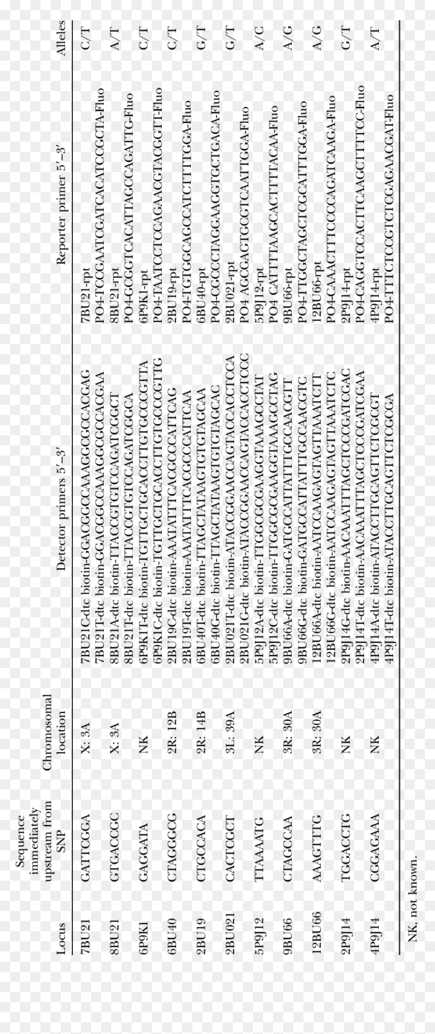 Document, HD Png Download - hola png