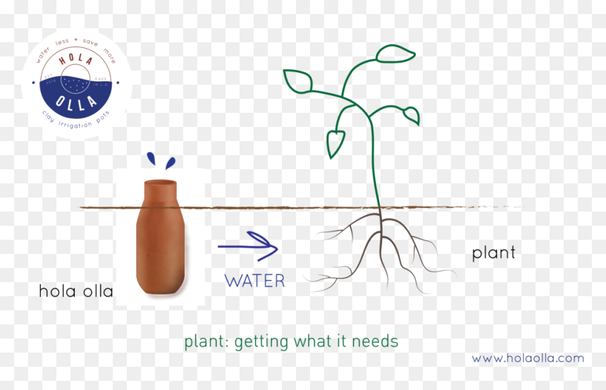 Olla Illus With Proto, HD Png Download - hola png