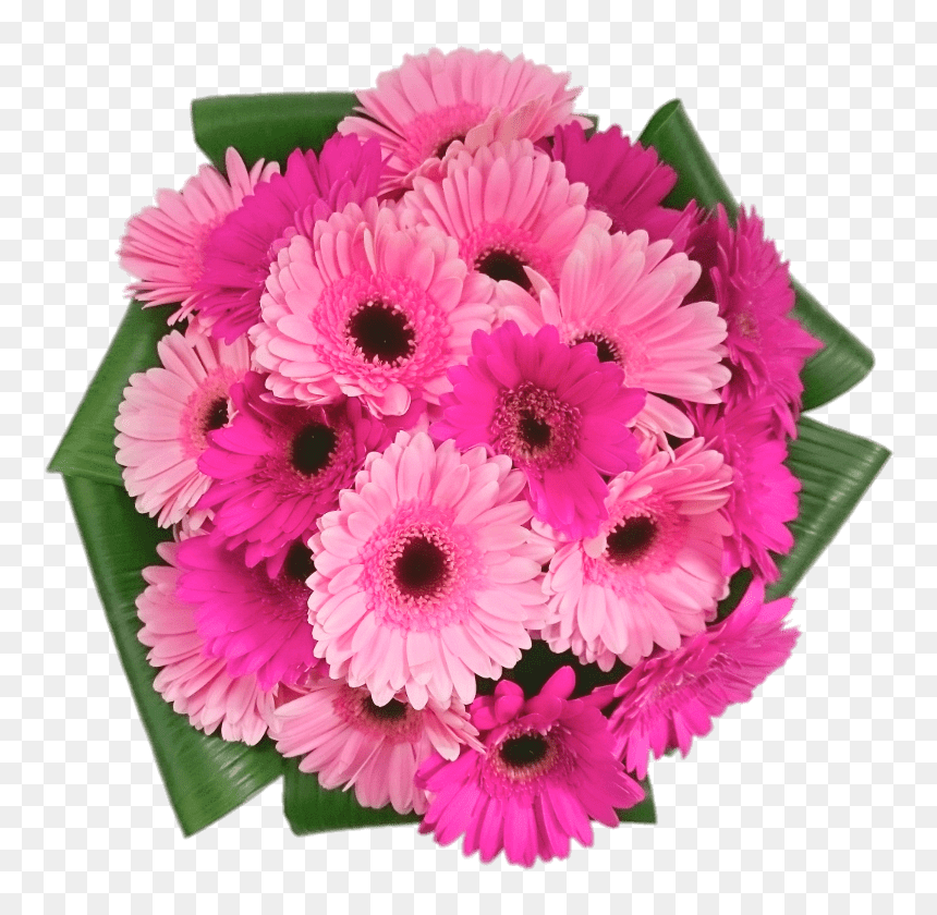 Pink Gerbera Bouquet, HD Png Download - pink daisy png