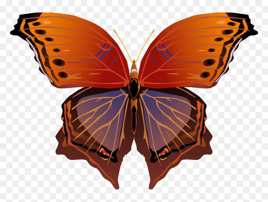 Butterfly Png Images Png - Clip Art, Transparent Png - red butterfly png