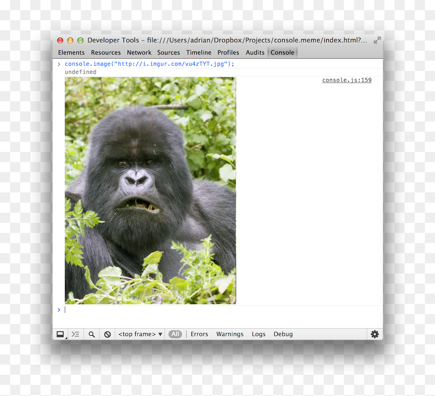 In The Console - Silverback Mountain Gorilla, HD Png Download - forever alone meme png