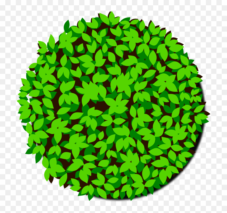 Leaf,plant,grass, HD Png Download - grass png clipart