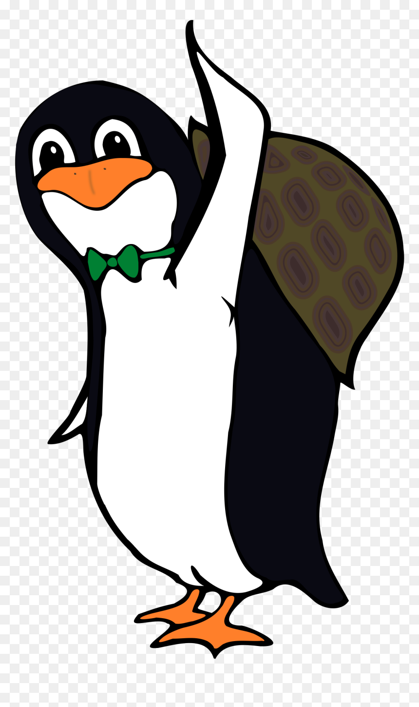 Turtle Penguin, HD Png Download - turtle cartoon png