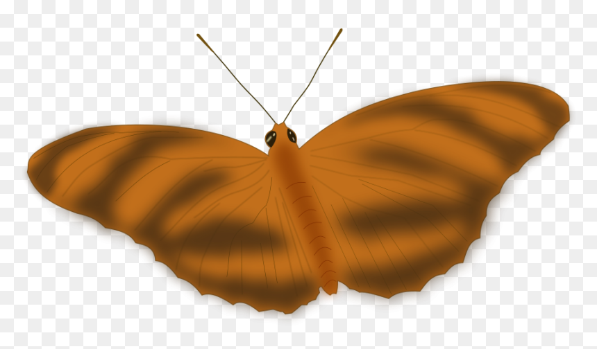 Transparent Flying Butterfly Clipart - Butterfly Image Small Size, HD Png Download - flying butterfly png