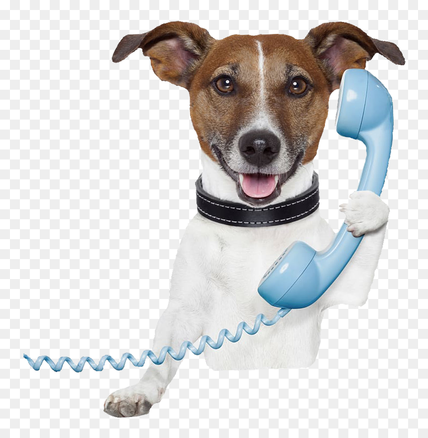 Dog Telephone V2 - Dog And Teacher Quotes, HD Png Download - dog leash png