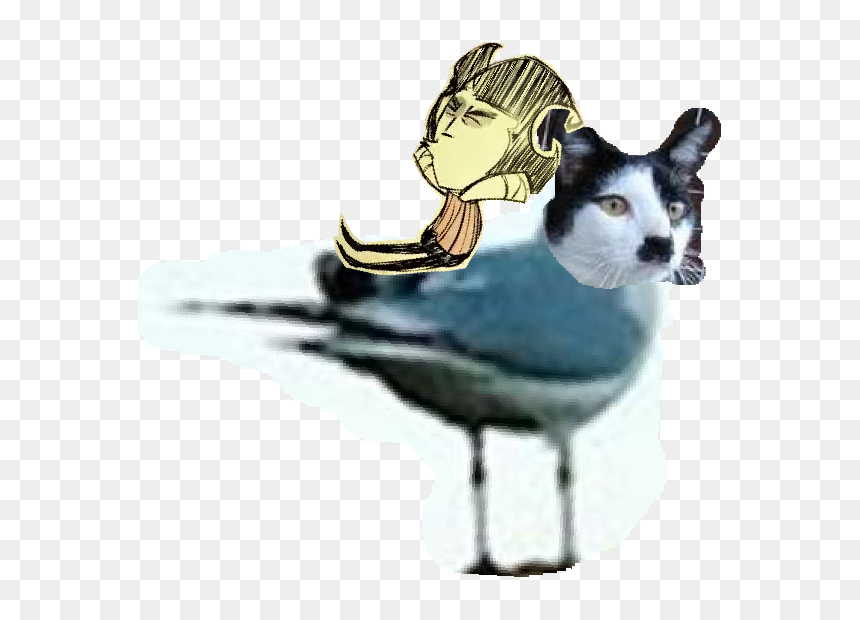 Bird, HD Png Download - forever alone meme png