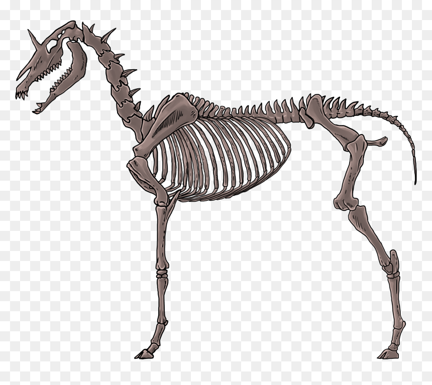Unicorn Skeleton Transparent , Png Download - Skeleton, Png Download - skeleton transparent png