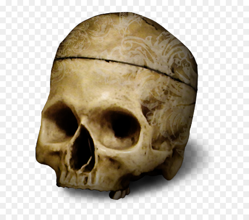 Skull, HD Png Download - skeleton transparent png