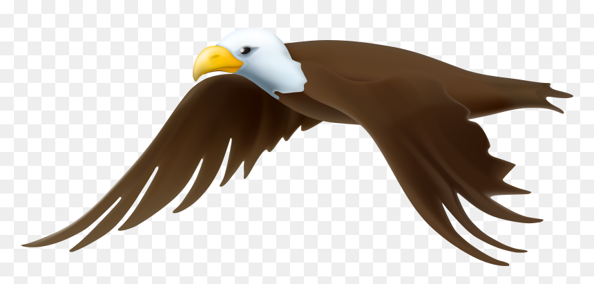 Transparent Eagle Clip Art, HD Png Download - crossed rifles png