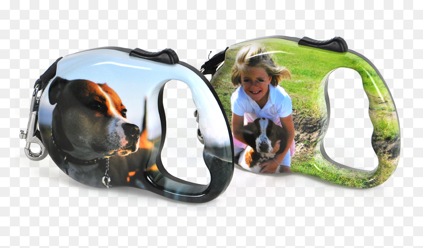 High Performance Paint And Coatings For Consumer Products - American Pit Bull Terrier, HD Png Download - dog leash png