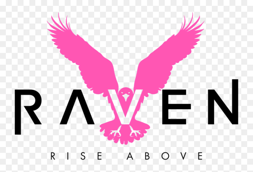 Raven - Buzzard, HD Png Download - raven feather png
