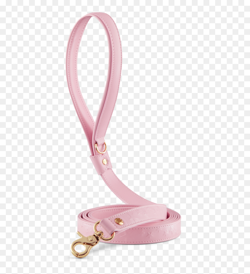 Xs, S, M, L - Coin Purse, HD Png Download - dog leash png