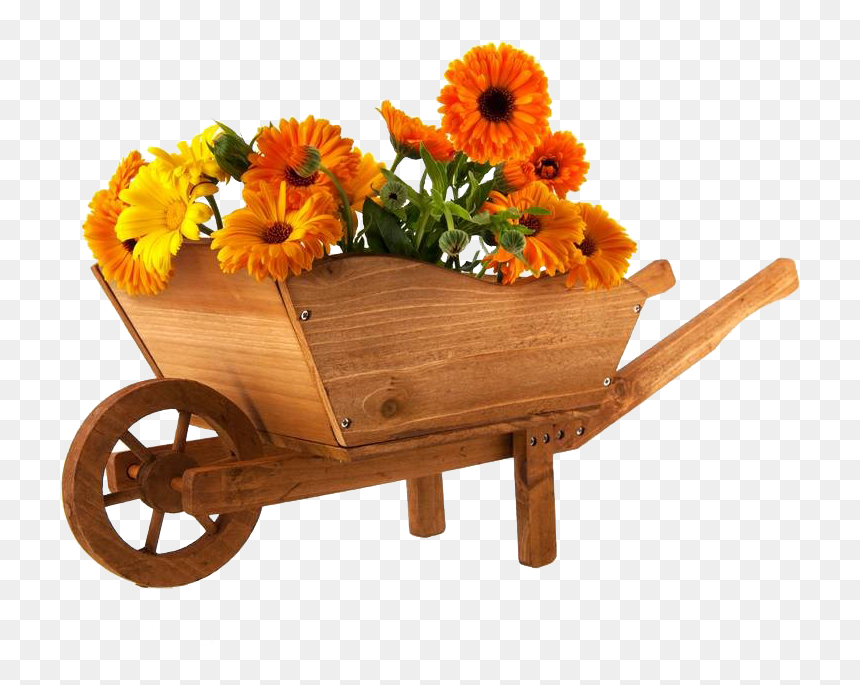 Wheelbarrow Flower Marigold Photography - Wheelbarrow Full Of Eggs, HD Png Download - wheelbarrow png