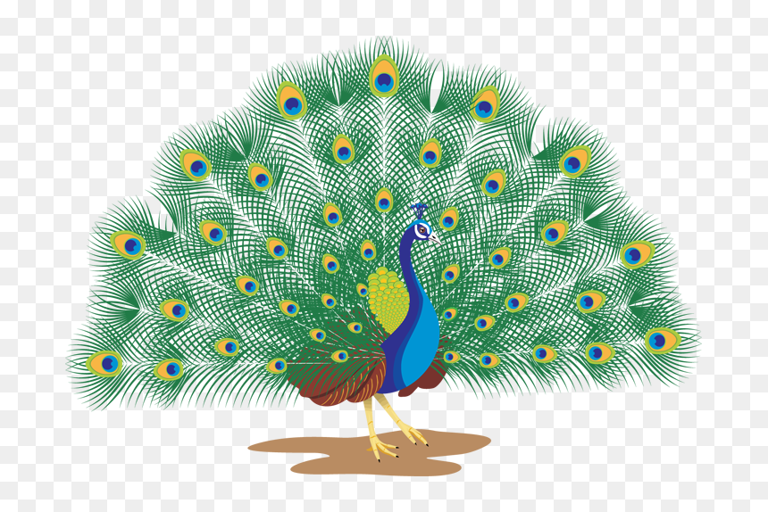 Go To Image - Transparent Background Peacock Clipart, HD Png Download - peacock png image