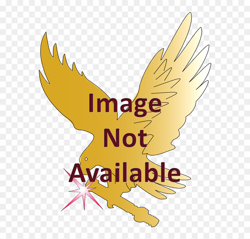 Red-tailed Hawk, HD Png Download - metal screw head png